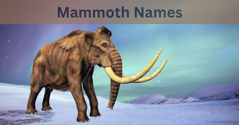 Mammoth Names – The Unique And Majestic Name In 2024