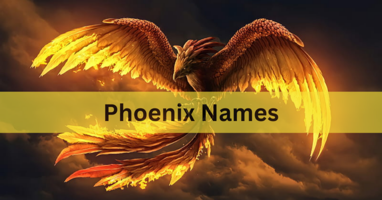 Phoenix Names – The (Beautiful,Charming And Unique Names With Meanings) In 2024