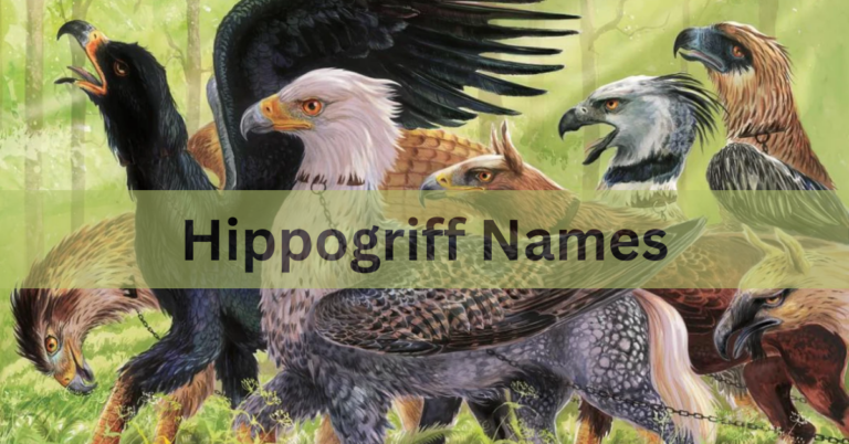 Hippogriff Names – A Beautiful And Charming Names of Hippogriff In 2024