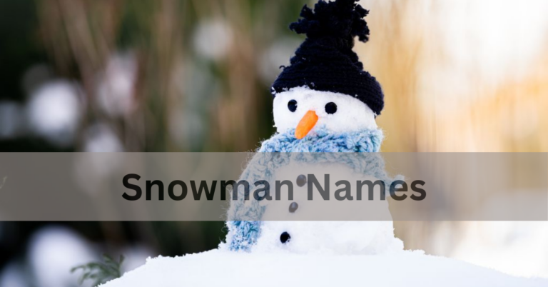 Snowman Names – Choose The Perfect Snowman Names In 2024