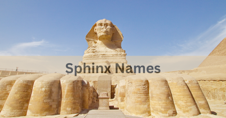 Sphinx Names – Discover The Unique Nmaes In 2024