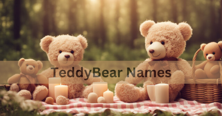 TeddyBear Names – Choosing The Right Names Of TeddyBear In 2024
